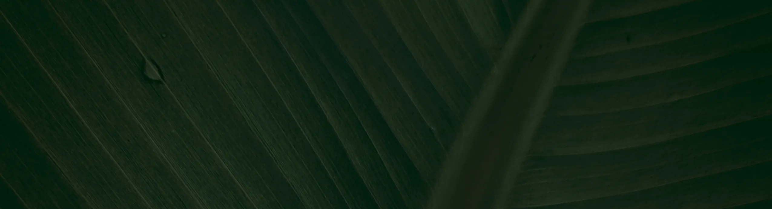 hero-image_optimized Producto de prueba descargable pdf