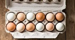 huevo_criolo Huevo de Gallina Criolla