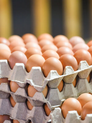 huevos_comerciales huevo marron Empaque de 6 | 12 | 30 unidades