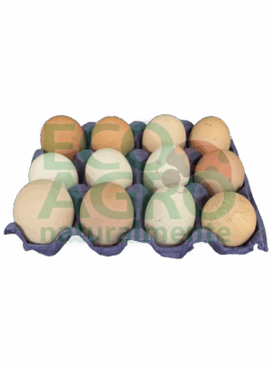 huevos_coral Huevo de Corral